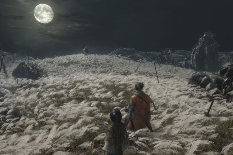 Screenshot do jogo Sekiro: Shadows Die Twice.